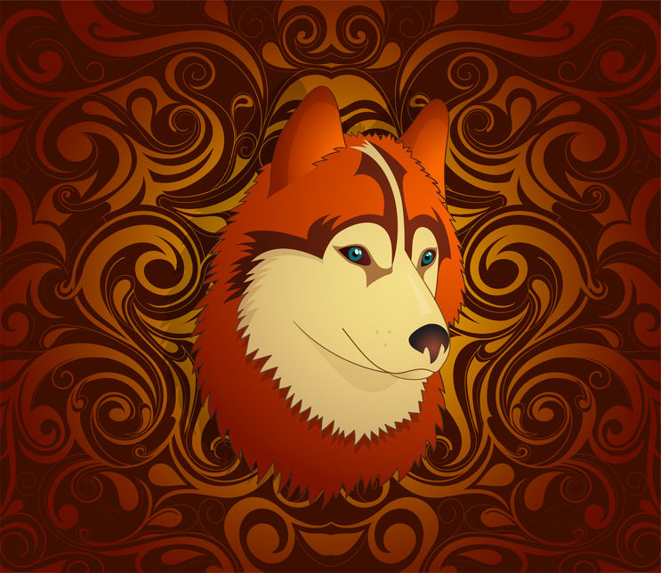 astrologie chinoise chien